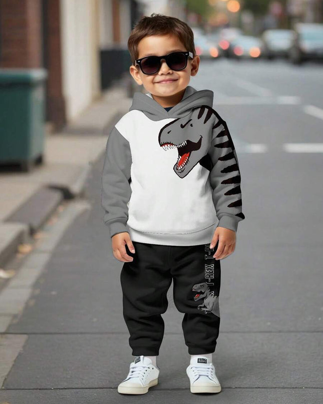 Boys multicolor cartoon hoodie and pants set

Casual 2-piece hoodie outfit for young boys